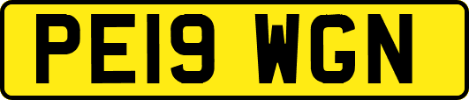 PE19WGN