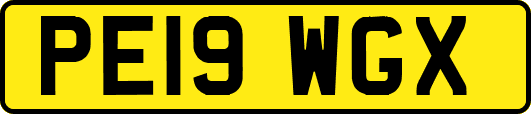 PE19WGX
