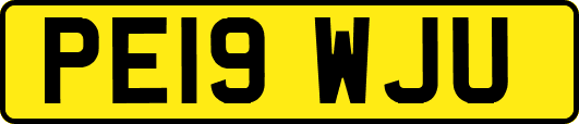 PE19WJU