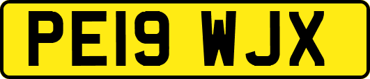 PE19WJX