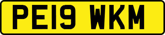 PE19WKM