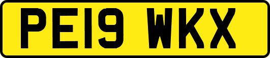 PE19WKX