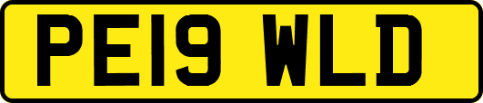 PE19WLD