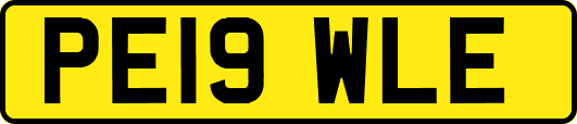 PE19WLE