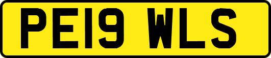 PE19WLS
