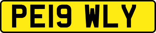 PE19WLY