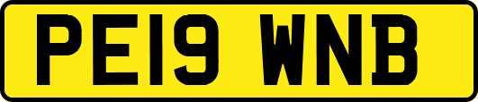 PE19WNB