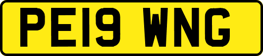PE19WNG