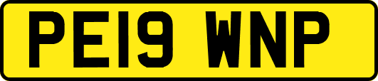 PE19WNP