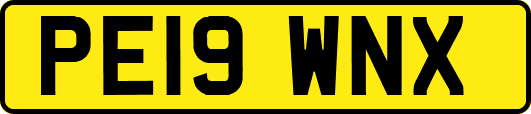 PE19WNX