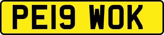 PE19WOK