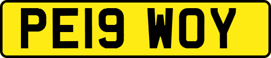 PE19WOY