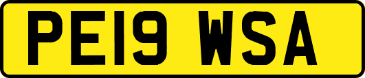 PE19WSA