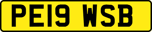 PE19WSB
