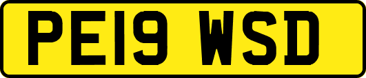 PE19WSD