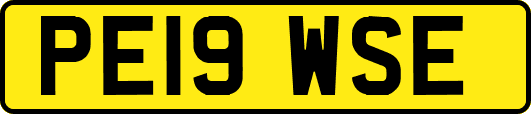 PE19WSE