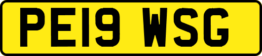 PE19WSG