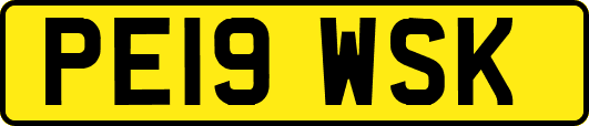 PE19WSK