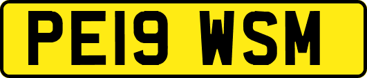 PE19WSM
