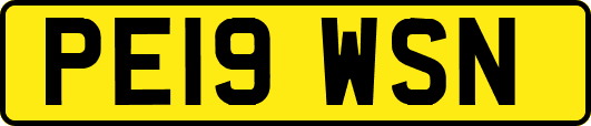 PE19WSN
