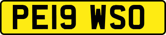 PE19WSO