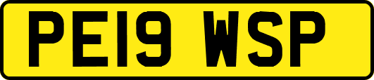 PE19WSP