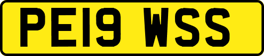 PE19WSS