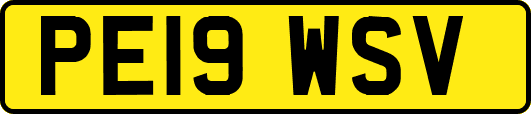PE19WSV