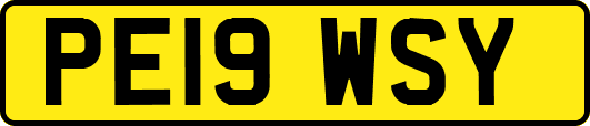 PE19WSY