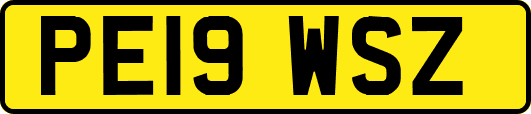 PE19WSZ