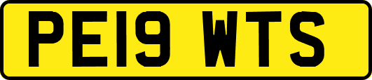 PE19WTS