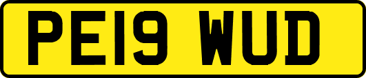 PE19WUD