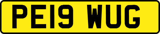 PE19WUG