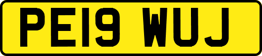 PE19WUJ