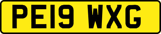 PE19WXG