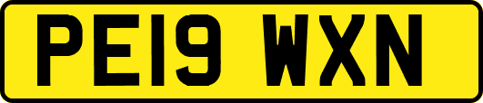 PE19WXN