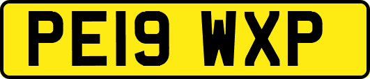 PE19WXP