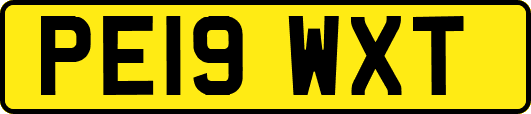 PE19WXT