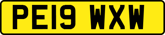 PE19WXW