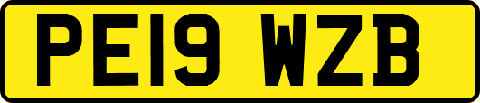 PE19WZB