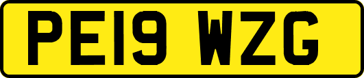 PE19WZG