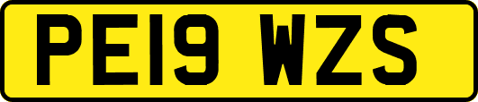 PE19WZS