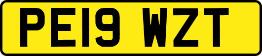 PE19WZT