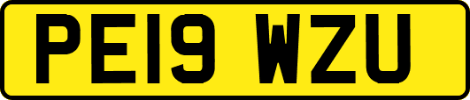 PE19WZU