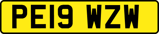 PE19WZW