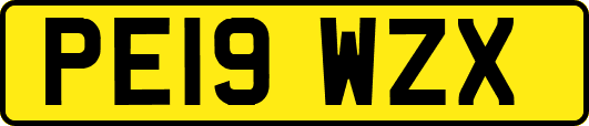 PE19WZX