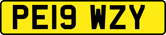 PE19WZY