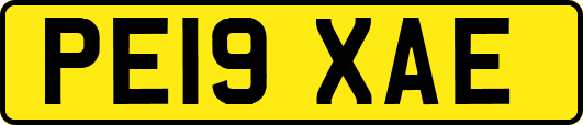 PE19XAE