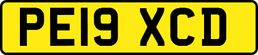 PE19XCD