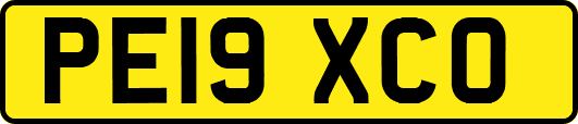 PE19XCO